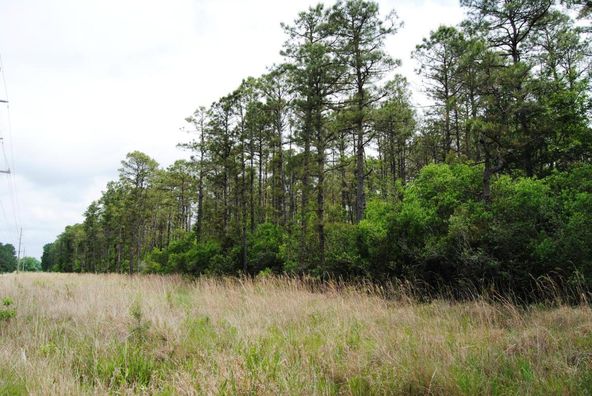 Multi Lots Timber Ln .: Multi Lots Timber Ln ., Richlands, NC 28574